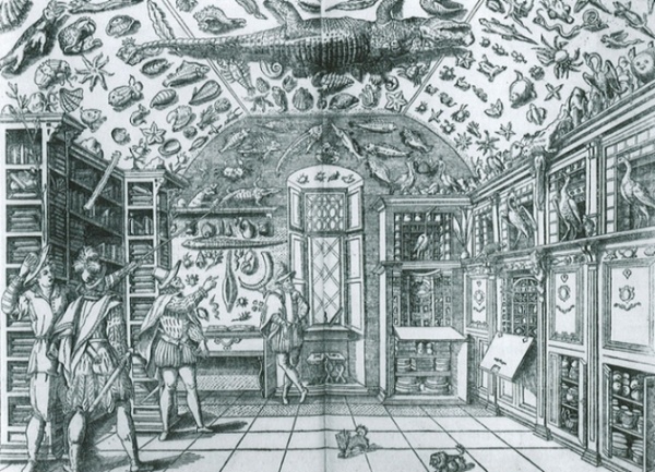 奇珍異寶收集屋～拿波里藥劑師（Ferrante Imperato，1525? – 1615?）的自然史收藏庫（資料來源：Ferrante Imperato, 1599, Dell'Historia Naturale, Imperato.）