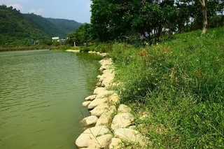 蘭陽博物館已規劃此區為水生植物生態保留區