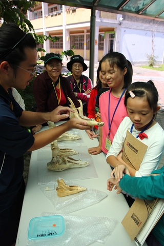 以宜蘭出土的動物骨骼考古遺物為主，讓學童學習獸骨種類或部位的比對