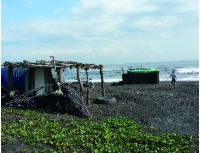 蘭博領路‧文化輕旅行-冬日、海口、捕鰻人