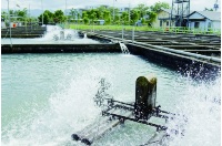 光與愛的生命共同體~八甲休閒漁場