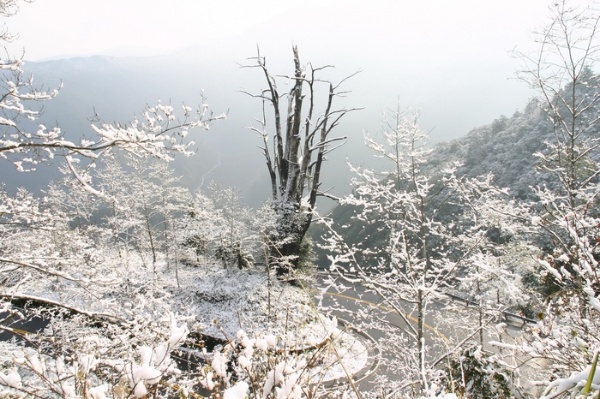冬～太平山賞雪