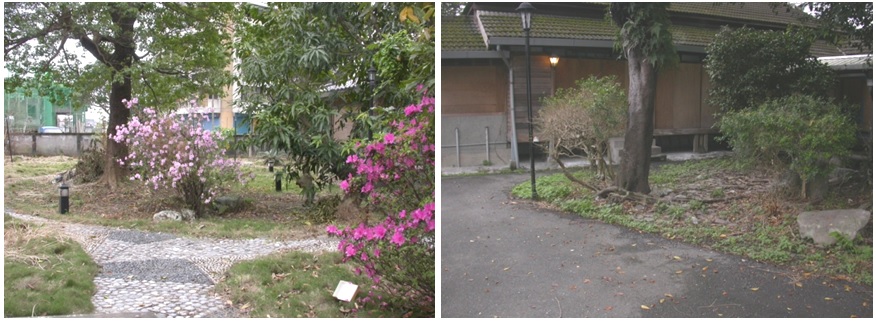 前側庭園景觀一角