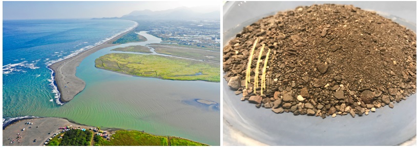 左圖：蘭陽溪畔。許智邦攝 / 右圖：扁砂。蘇美如攝