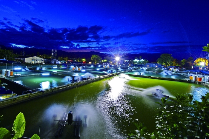 常有人誤以為魚場有八甲大，其實魚場的面積是2.2公頃，因當地地名叫做八甲而取名八甲魚場。