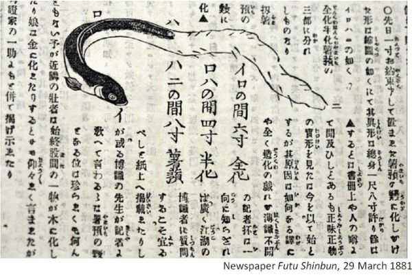 1881年日本報紙報導，有人發現半鰻半山藥的鰻魚崁合體