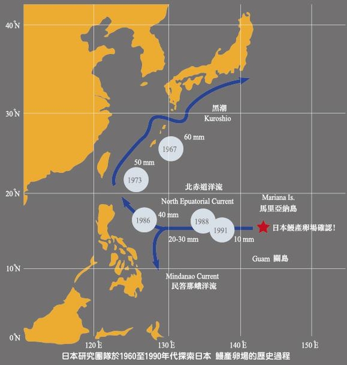 日本鰻產卵場的世紀追尋歷史
