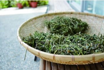 周素瑛因母病轉行探究醫學