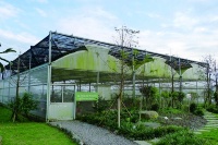 千里光藥園～讓本土藥草發光