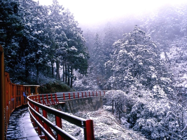 冬～白雪藹藹的太平山