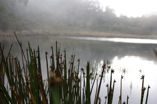 鴛鴦湖特殊的湖域景觀