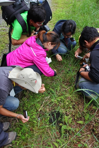 講師及學員圍著草地上的山羌排遺進行調查（前方為另一堆山羌排遺）