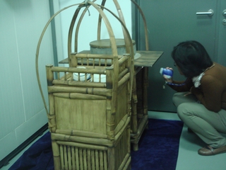 平原層的蟲蟲危機