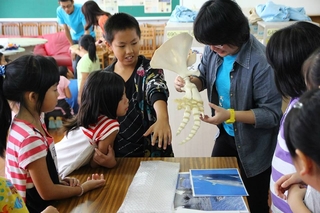 海豚與人的前肢比一比