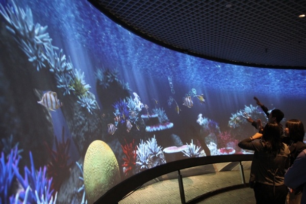 全新的海洋劇場以3D動畫模擬淺海珊瑚礁環境以及深海魚群
