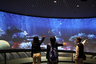 民眾可以透過最先進的體感偵測應用，悠游於虛擬深海世界，與台灣海域生態有更深入的互動和接觸