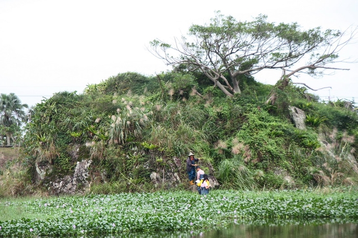 烏石礁體植物調查（賴擁憲 攝，蘭陽博物館 提供）
