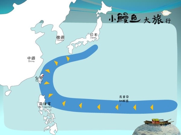 小鰻魚、大旅行