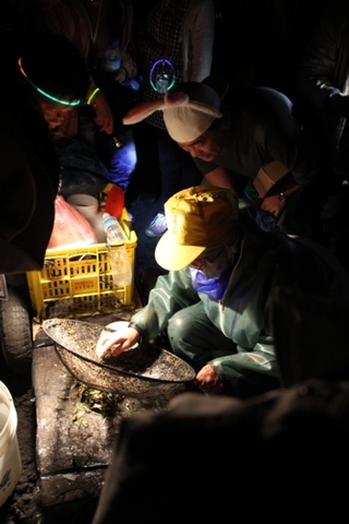 將網內的「戰利品」倒出來檢視一番