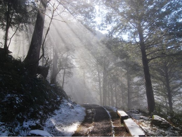 冬陽‧太平山見晴古道