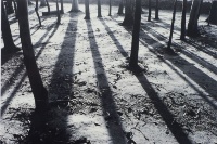 宜蘭四季：山海之旅。光之逆旅