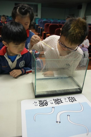 「好細喔~」「好會游泳喔~」小朋友常如此驚呼