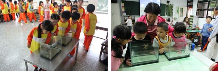 左：大家輪流看鰻魚 / 右：老師也看得興味盎然