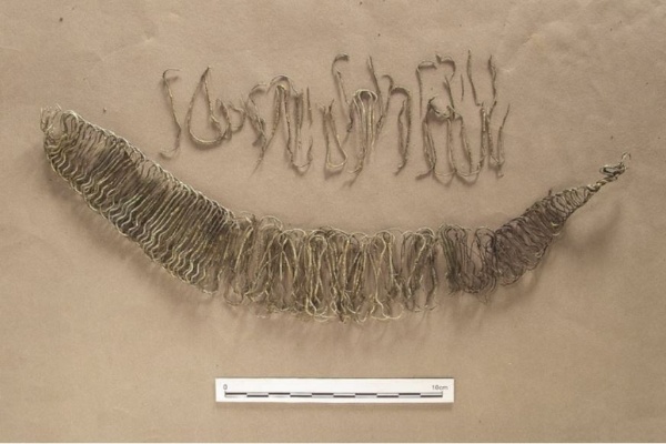 考古遺址發掘出土的金鯉魚(宜蘭縣文化局考古工作室 提供）