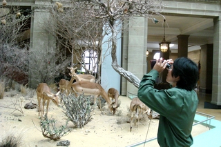 非洲草原生態展示 除了有德、英語解說話筒，一、二樓都設有望遠鏡，供遊客觀察小型動物