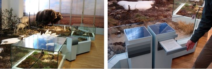 左：極地生態系的玻璃展櫃針對特殊物種做主題式介紹 / 右：展櫃旁四層不同主題的資訊抽屜