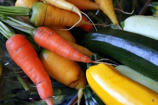 友善食材變變變～生菜沙拉