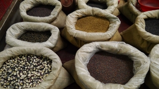 北館「草藥街」內的各式種子、藥材