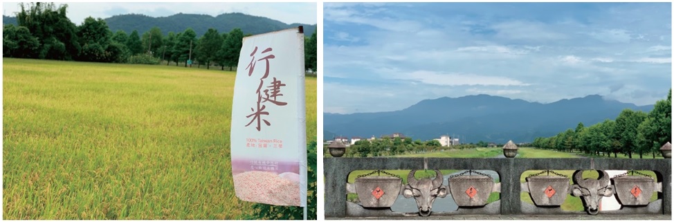 左圖：行健有機村農地   / 右圖：安農溪田心橋