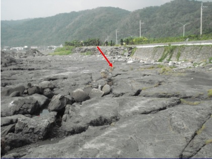 圖六：外澳火成岩脈（箭頭處），圖右邊路燈為濱海公路位置，路燈旁的海堤有一停車場，圖左後方房屋為外澳的沙灘海灣。