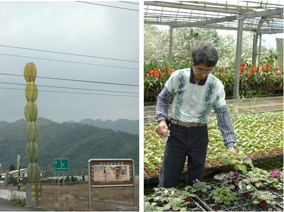 左圖：圖六：二湖和崩山湖兩個地區，農民們努力的進行各項果樹的改良栽種，最後以二湖鳳梨和崩山湖楊桃將大湖地區「觀光果園」的名氣向外播送。 / 右圖：大湖底也有少部分居民將菜圃改為園藝花卉的專門種植區，並且將自家的老宅第整理成為觀光民宿。