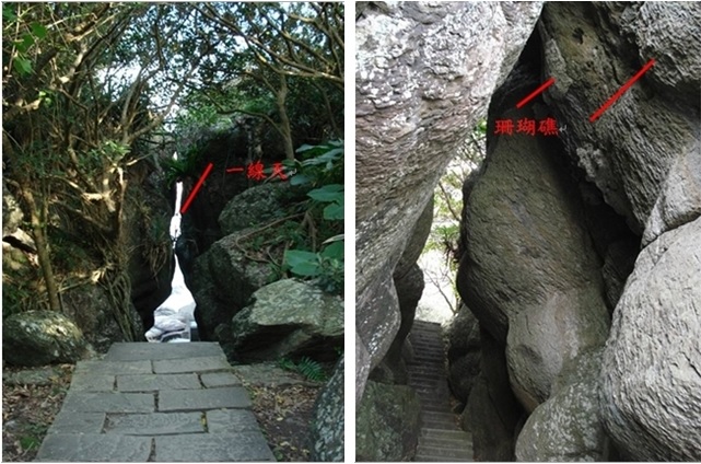 左圖圖九：海蝕地形形成的一線天。 / 右圖圖十：岩壁上的珊瑚，顯示地殼有上升的現象。