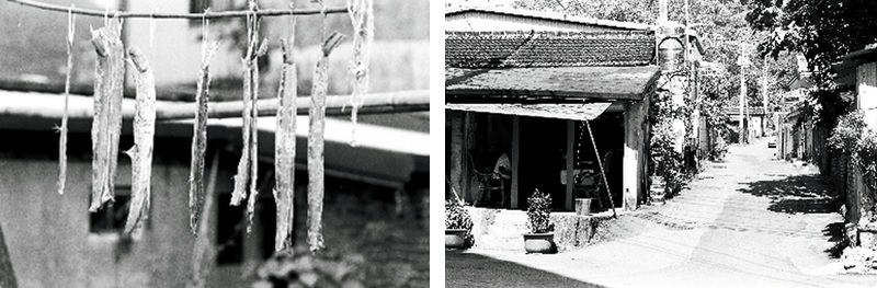 左圖：大陳義胞的眷村～岳明新村。（施煥沖提供） / 右圖：大陳義胞的眷村～成功新村。（施煥沖提供）