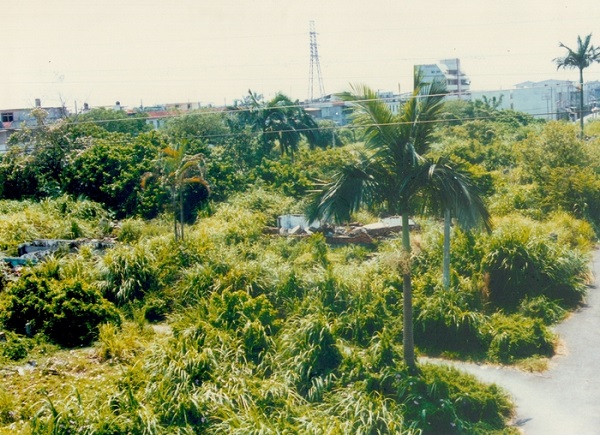 改建前的中興新村。