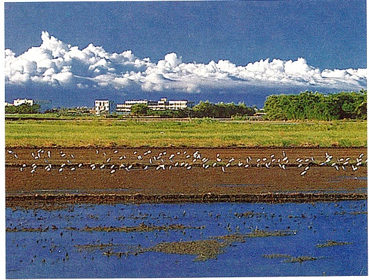 空間三十回顧系列─縣市綜合發展計畫的推動