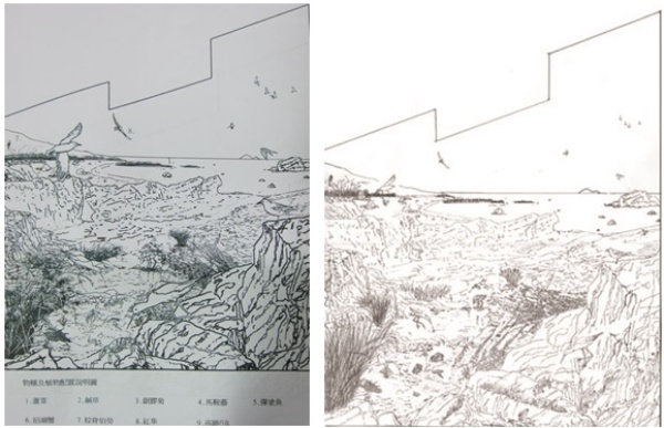 左圖：第三次線條稿(生態教學觀念構圖) / 右圖：第四次線條稿