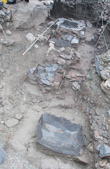 漢本遺址墓葬成排而列