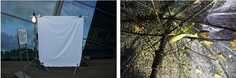 左圖：臺灣大學昆蟲系楊恩誠教授進行蘭陽博物館光害監測計畫  / 右圖：光害監測吸引趨光性昆蟲拜訪