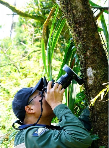 身著國家植物園方舟計畫制服的許天銓是宜蘭禾葉蕨發現的靈魂人物。