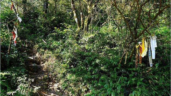 烘爐地山為宜蘭五大名山之一，登山口可見五顏六色登山布條，後方原始林內為陡峭山徑。
