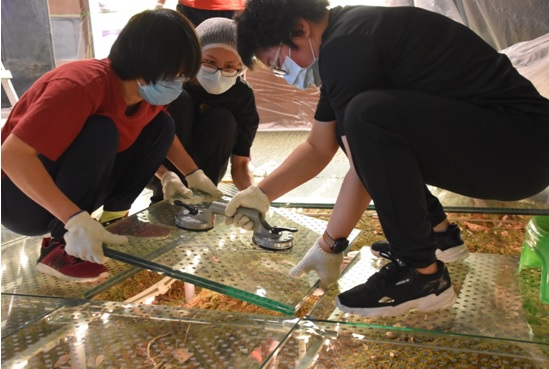 同仁們齊心小心翼翼的將地玻璃掀起。