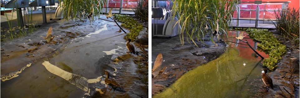 2樓濕地水的材料因為時間太久而變質，我們請到原施作的綠邦公司修繕後煥然一新。
