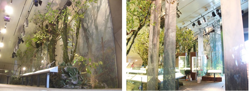 左圖：側拍整體   / 右圖：遠拍整體效果