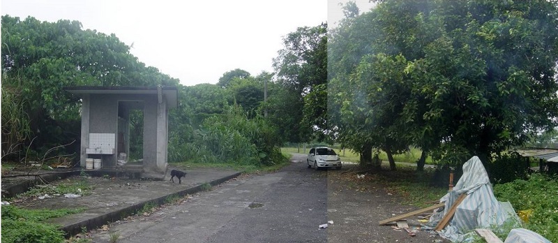 建國新村主要出入道路，左側為現存公廁，右側為喬木數株，喬木後方即為正前方建國新村位置，及主要巷道可通至環河路。