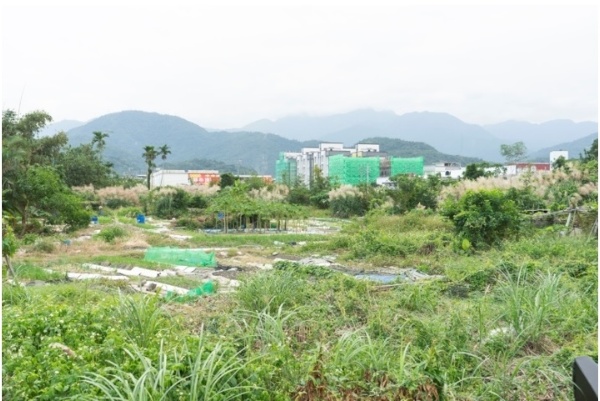 圖1–7蘇澳 馬賽。資料來源：筆者攝於2019年11月11日。馬賽位於新城溪下游南岸，最初為猴猴人罟漁打獵的生活領域，後因西部平埔族的南遷而成為他們的社址所在。馬賽雖然已無過去平埔族的遺跡，不過地名仍留存至今。