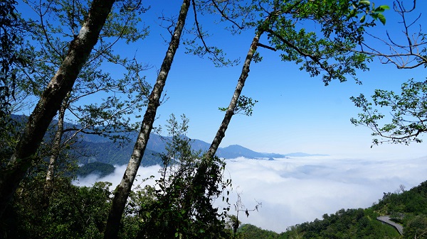 海拔1948公尺的思源埡口，座擁獨特地形與氣候條件，也是多種動植物繁衍的重要環境。